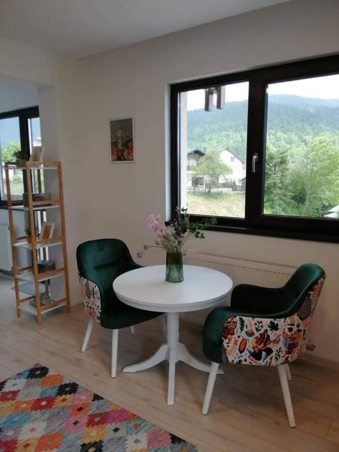 Belcara Apartment Busteni Exterior photo